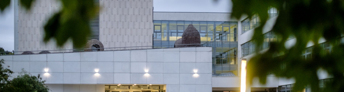 2026 februárjában induló szakirányú képzéseink