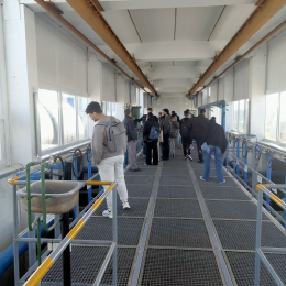 Dr. Pál-Schreiner Judit  - Tettye Forrásház Zrt. 